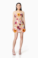 model wearing Arabella floral mini dress in multi front shot