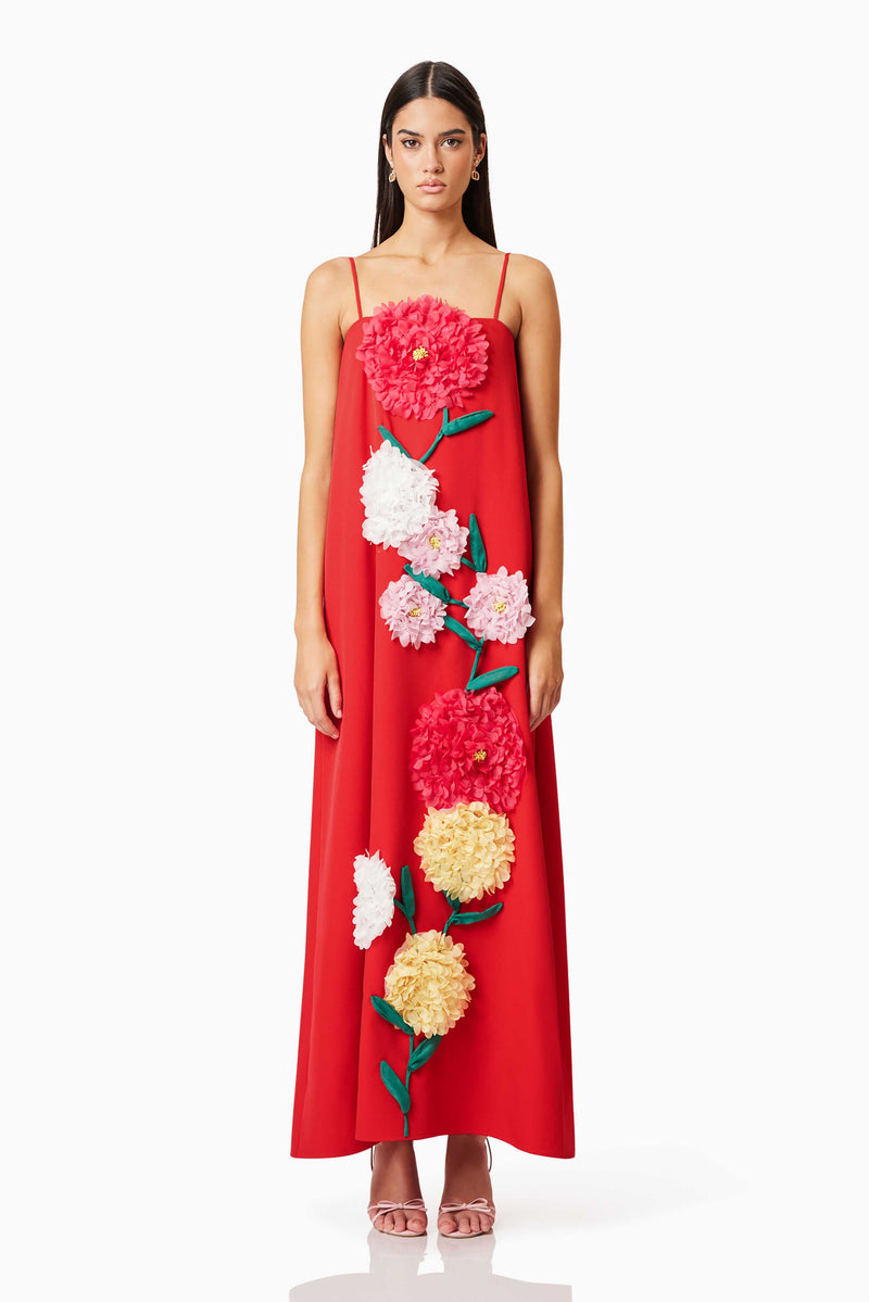 Brunette model wearing Buttercup Embroidered Maxi Dress In Red front shot