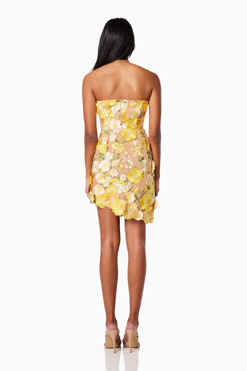 model wearing  NEW-AGE 3D FLORAL MINI DRESS IN YELLOW back shot