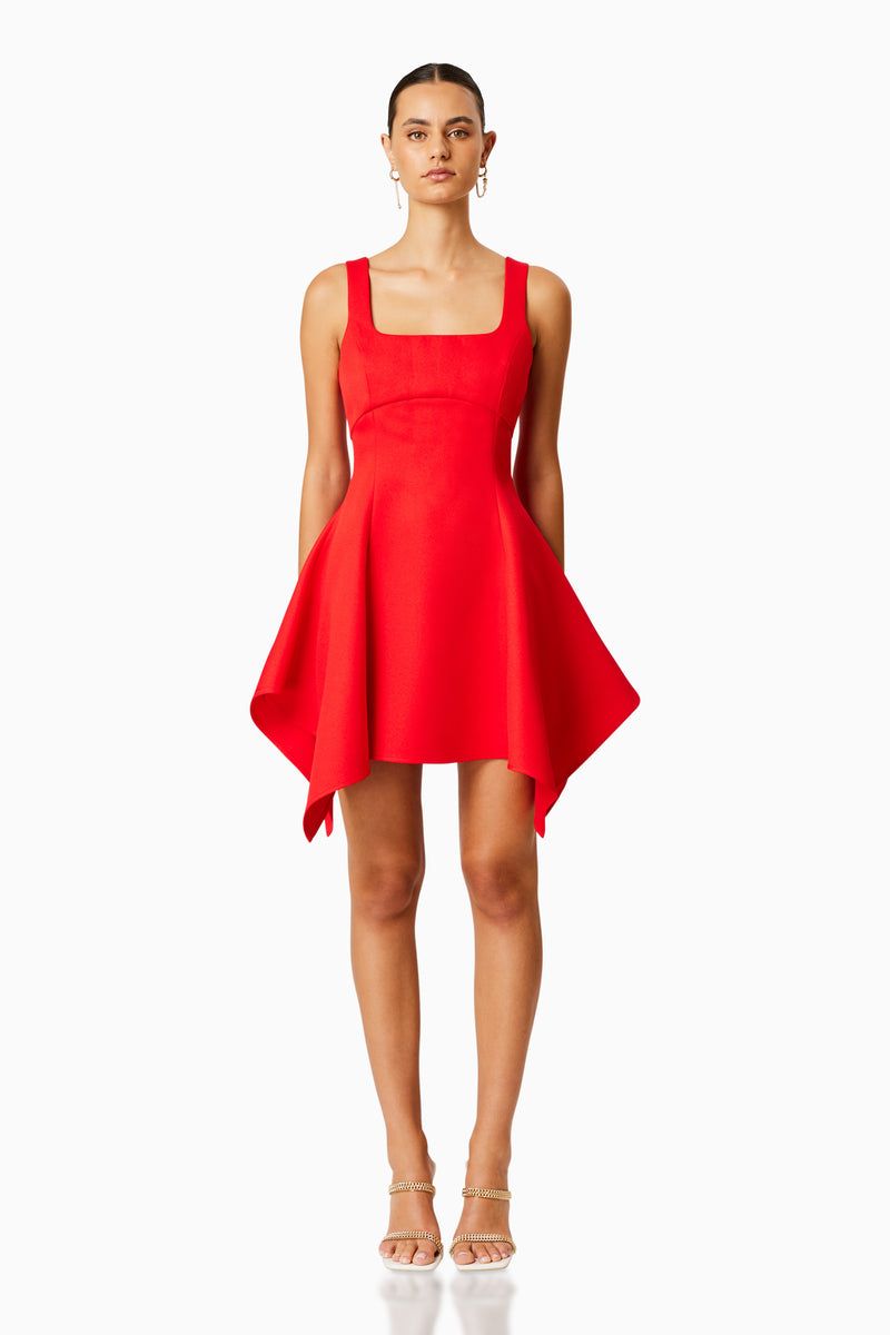 Picnic Flared Mini Dress In Red