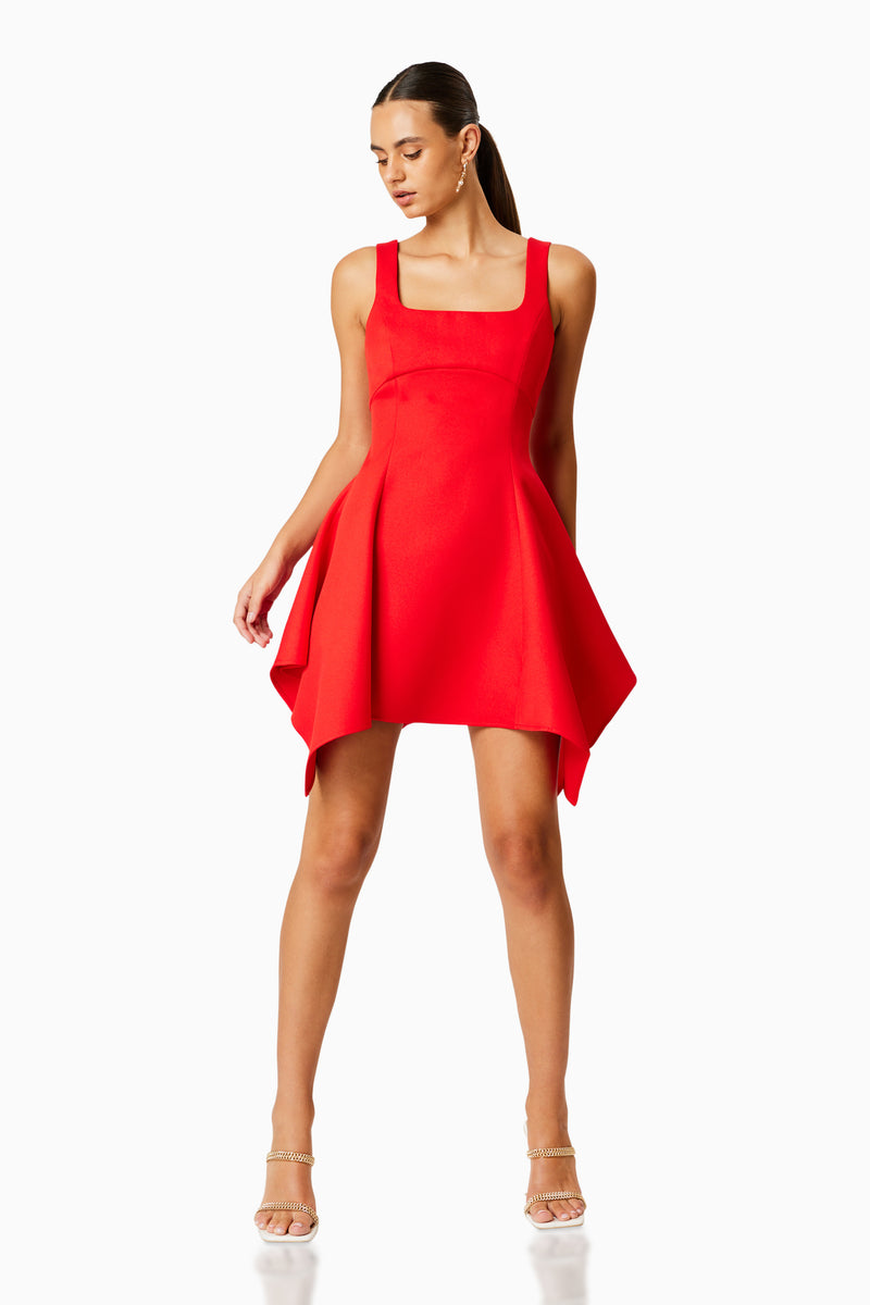 Picnic Flared Mini Dress In Red