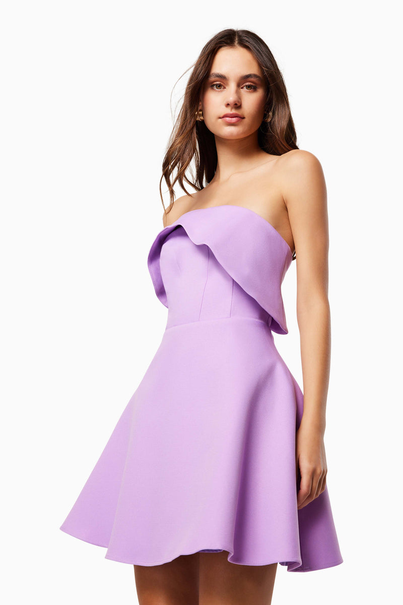 Maelle Strapless Mini Dress in Purple