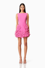 Brunette model wearing Janelle Mini Dress In Pink front shot