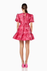 model wearing Wylla mini ruffled pink dress back shot