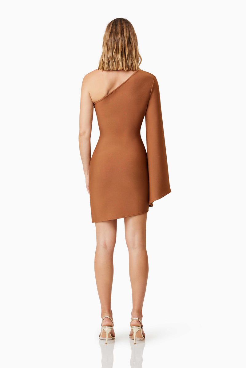 model wearing Riley Party Mini Dress In Brown back shot