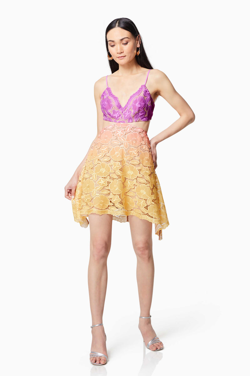 Brunette model wearing VICE OMBRE LACE MINI DRESS IN MULTI front shot