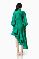 dark hair model wearing HONEYMOON LONG SLEEVE MAXI DRESS IN GREEN back shot