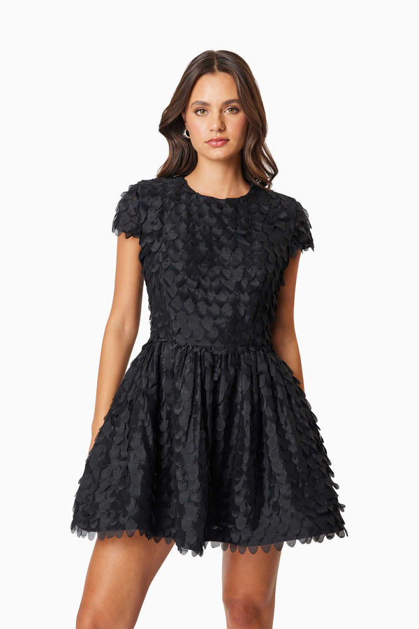 OMR x ELLIATT: Amberwing Dress In Black